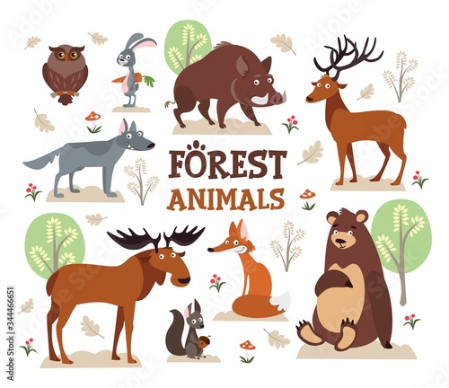 Set of cute animals and nature environment vector illustration. Creatures on freedom among trees and greenery flat style. Owl boar and wolf on white background. Wildlife concept