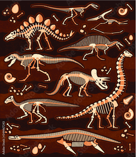 Dinosaur Fossils, Eggs, Bones & Skeletons © moloko88