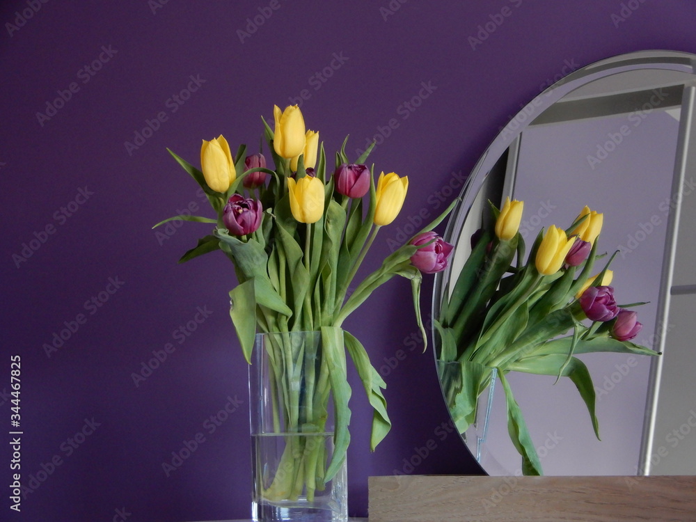 Fototapeta premium Tulipany 