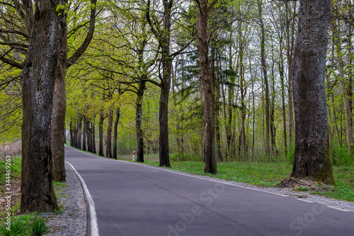 Wallpaper Mural Country road Torontodigital.ca