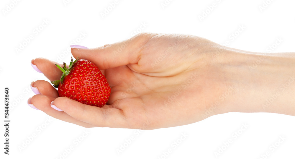 Obraz premium hand holding a strawberry isolated on white background. Close up.