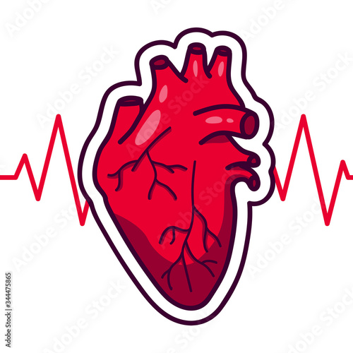 Red human heart in cartoon style. Poster on the topic of cardiovascular diseases. Arrhythmia of the heart or healthy rhythm of your heart. Medical icon of the heart.