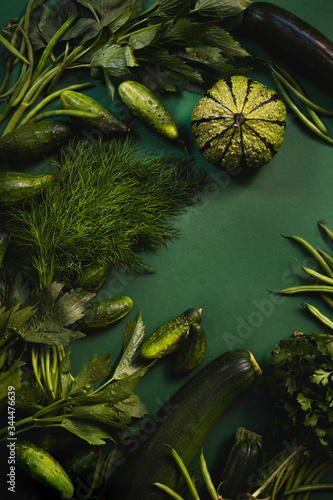 Świeże zielone warzywa i zioła - cukinia dynia ogórki koperek pietruszka lubczyk fasolka szparagowa na zielonym jednolitym tle