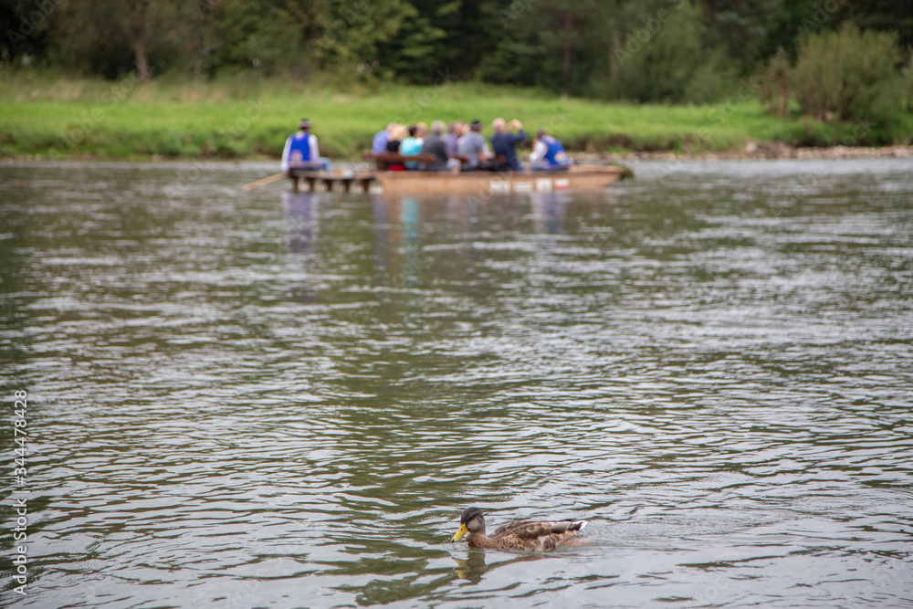 Rafting on Dunajec river in National Park of Pieniny Rafting on Dunajec river in National Park of Pieniny