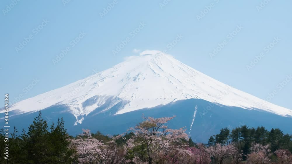 春の富士山 タイムラプス 満開の桜 創造の森 春の富士山 タイムラプス 満開の桜 創造の森