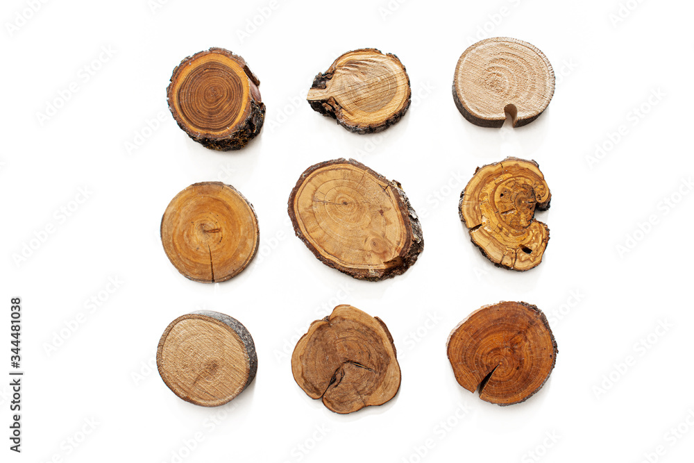 natural wood cuts isolated natural wood cuts isolated