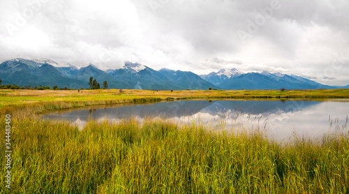 A distant snow covered mountain range with a lake and long grass and reeds in the foreground