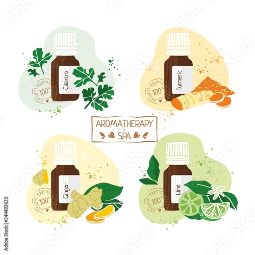 Set with essential oils of cilantro, turmeric, ginger and lime hand drawn on a white background. Aromatherapy, alternative medicine, cosmetology, Spa. Labels on products. Vector illustration