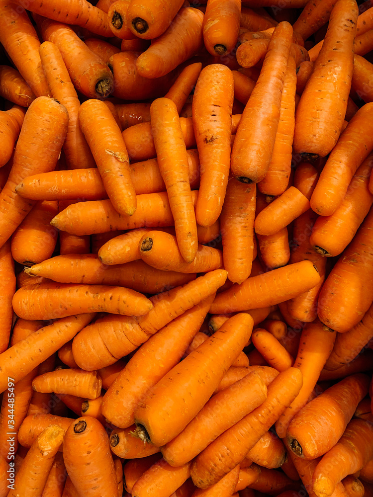 lots of ripe carrots to cook as a background lots of ripe carrots to cook as a background