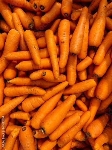 lots of ripe carrots to cook as a background