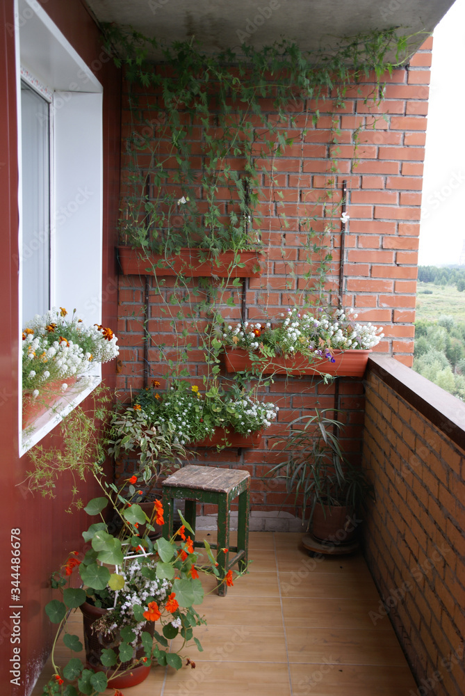 Your garden on the balcony
