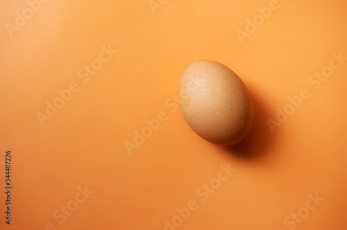 Chicken eggs isolated on orange background   