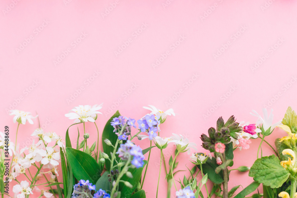 Obraz premium Wildflowers colorful border on pink paper background, flat lay with space for text. Blooming spring flowers, floral greeting card template. Happy Mother's day concept. Hello spring