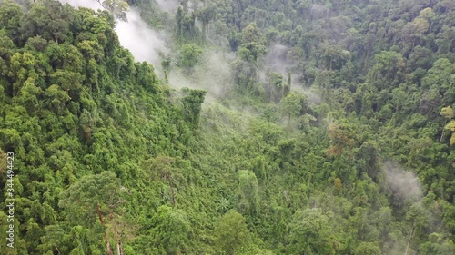 Rainforest and clouds. Aerial view of rain forest jungle. Mist and fog in green valley 