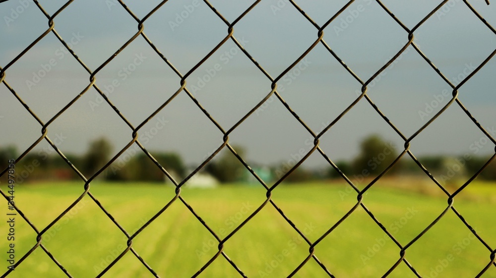 chain link fence and grass chain link fence and grass