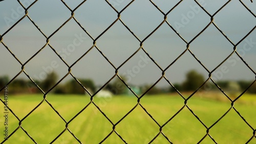 chain link fence and grass