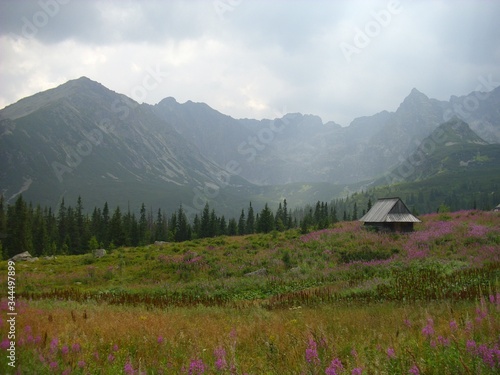mountain landscape in the tatra