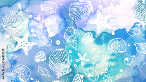  海の貝殻のイラスト　水彩画