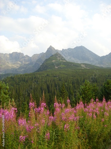 mountain landscape in the tatra