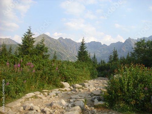 mountain landscape in the tatra