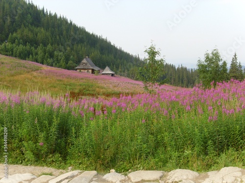 mountain landscape in the tatra