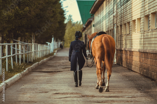 Rider woman with the horse are walking in a stable outdoors for dressage training