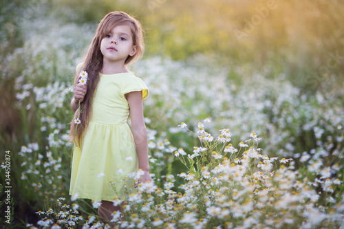 A child in a field with daisies