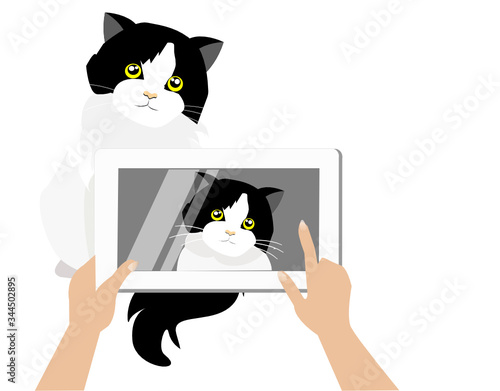 Hand holding smart pad, taking photo of adorable beautiful persian tuxedo cat. Isolated on white background. Vector Illustration. 
