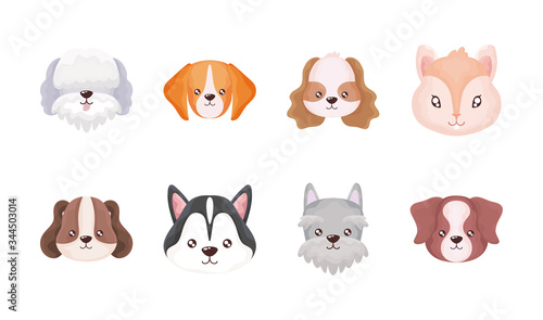 Wallpaper Mural set of heads of cats and dogs on white background Torontodigital.ca