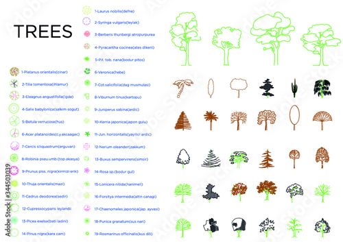 Architecture tree materials