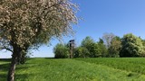 Landschaft im Frühling in Oberösterreich mit Bäumen, Wiesen und Hochstand