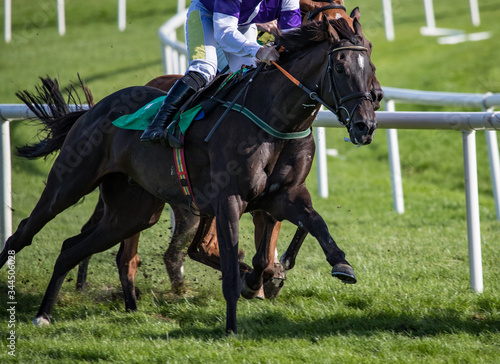 Close up on two race horses competing on the track