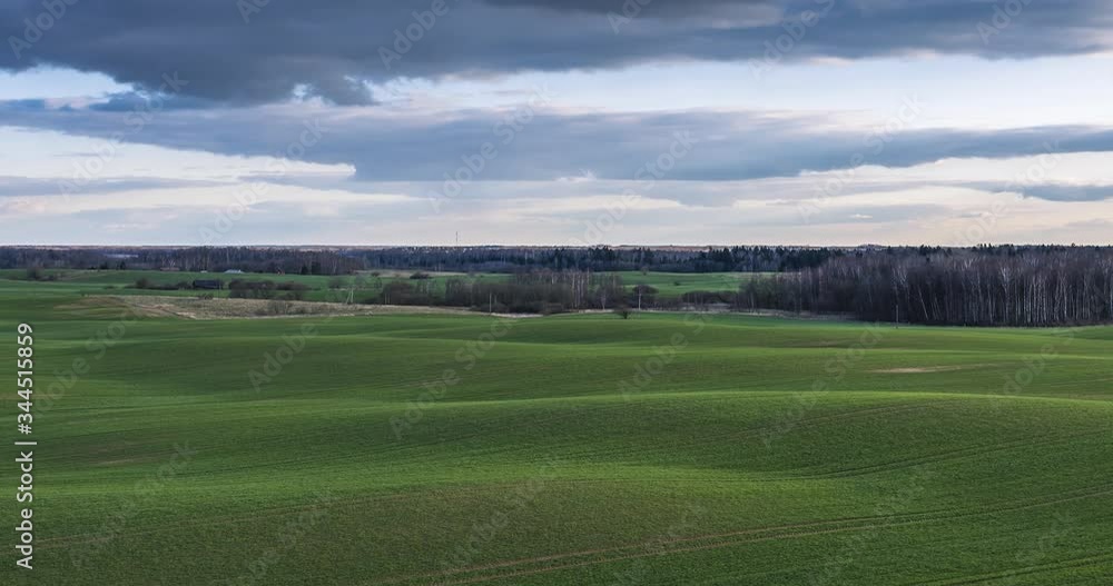 Sunlight moving through spring Rolling Green Hills With Fields Of Wheat Sunlight moving through spring Rolling Green Hills With Fields Of Wheat