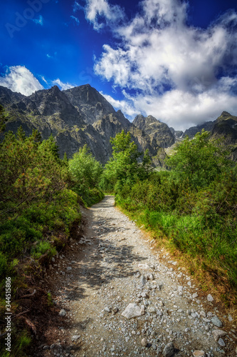 Fototapeta Naklejka Na Ścianę i Meble -  Wędrując Zieloną Doliną Kieżmarską w Tatrach Wysokich