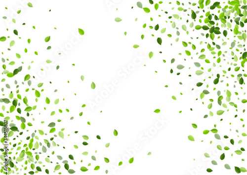 Olive Greens Realistic Vector Banner. Tea Leaves 