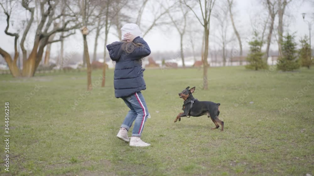 Little Caucasian girl kicking away barking dog in park. Wide shot of frightened kid and angry domestic animal outdoors. Lifestyle, stress, fear, anger. Little Caucasian girl kicking away barking dog in park. Wide shot of frightened kid and angry domestic animal outdoors. Lifestyle, stress, fear, anger.