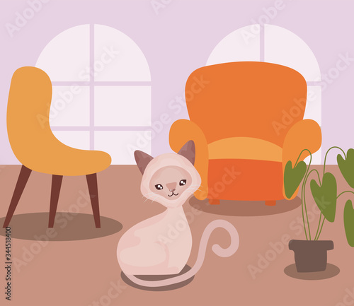 cute cat in living room