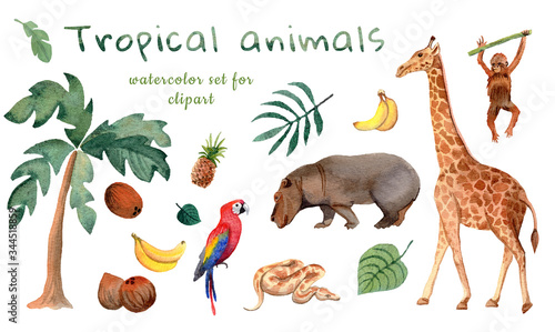 Canvas Print Watercolor set of tropical animals