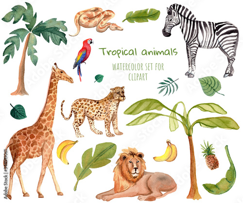 Watercolor tropical animals stickers set. Cartoon lion  zebra  giraffe isolated on a white background.