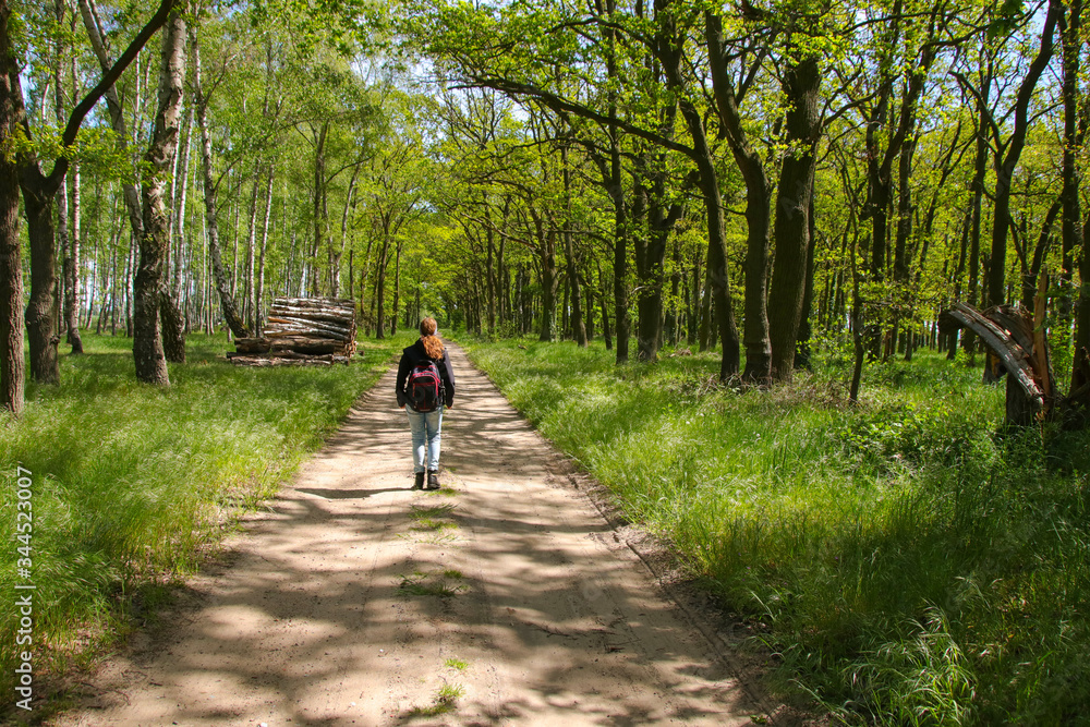 Hiking in spring in the federaBrandenburg, Germany Hiking in spring in the federaBrandenburg, Germany
