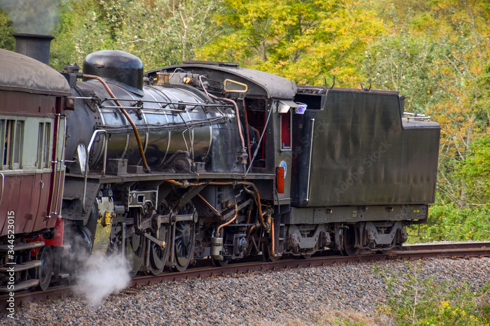 Fototapeta premium Locomotive push