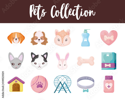 set of icons with domestic animals and accessories