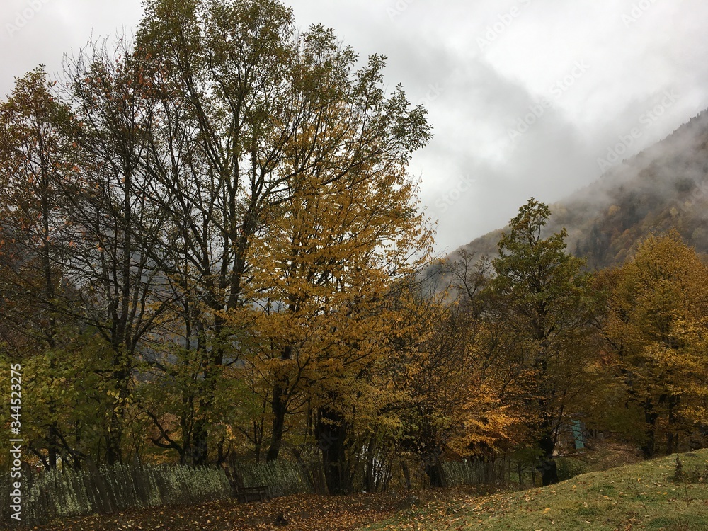 Autumn View of Gerogia Autumn View of Gerogia
