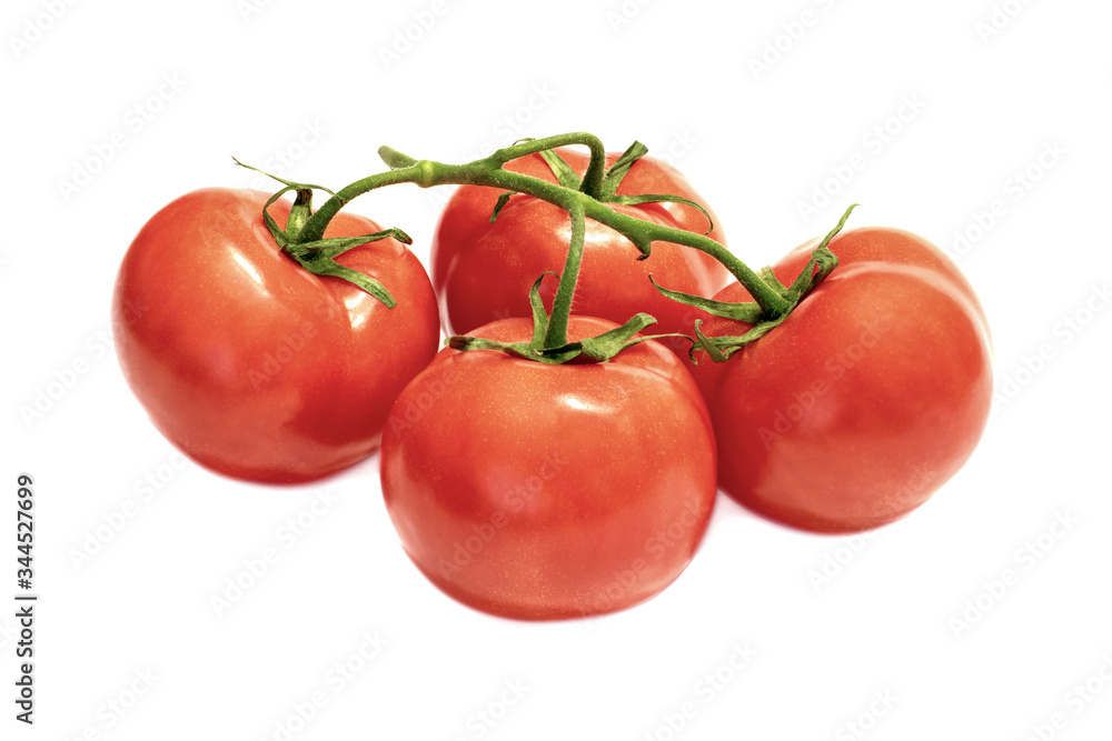 branch with red ripened tomatoes on a white background close-up. isolate