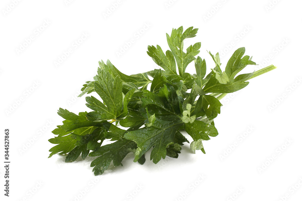 Parsley Parsley