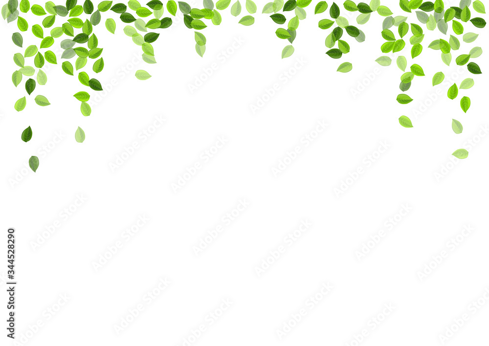 Swamp Greens Falling Vector Template. Nature 