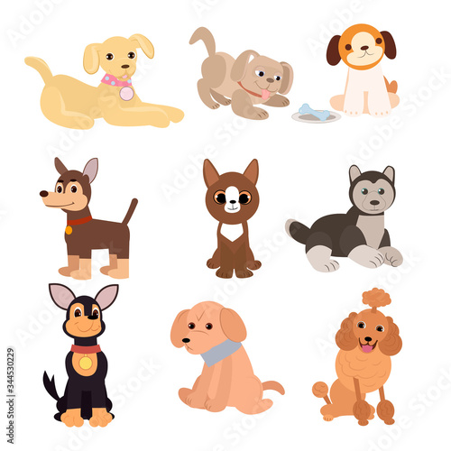 Set of cute dogs, pets, isolated on a white background