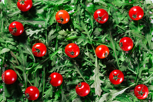 fresh vegetables and herb pattern; red tomatoes on green rucola leaves