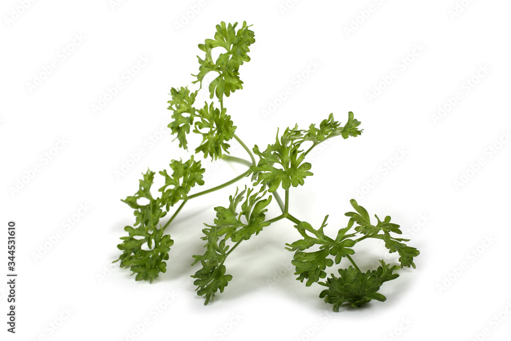 Parsley Parsley