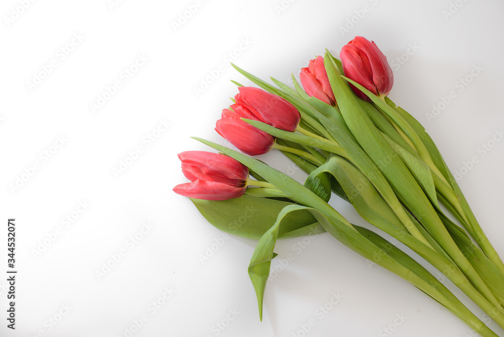 Bouquet of five red tulips on a white background with leaves, bottom view Bouquet of five red tulips on a white background with leaves, bottom view